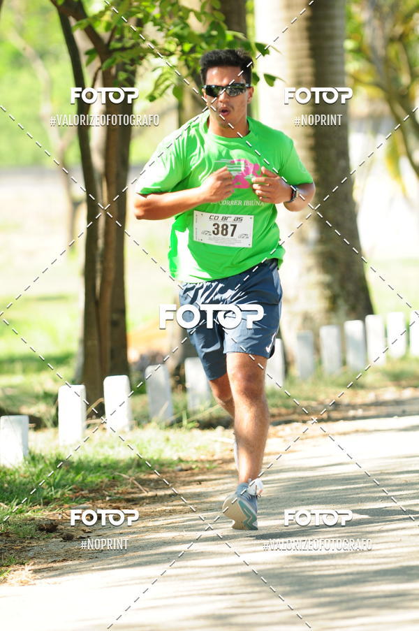 Compra tus fotos del eventoPIT BULL RUNNING En Fotop