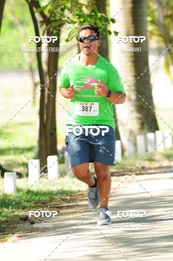 Compra tus fotos del eventoPIT BULL RUNNING En Fotop