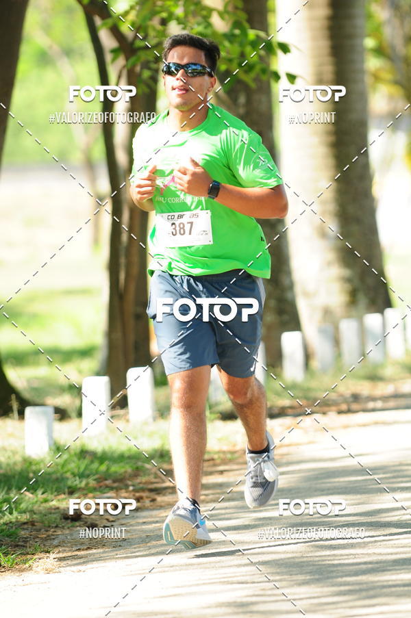 Compra tus fotos del eventoPIT BULL RUNNING En Fotop