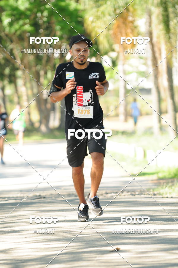 Compra tus fotos del eventoPIT BULL RUNNING En Fotop