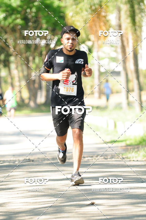 Compra tus fotos del eventoPIT BULL RUNNING En Fotop