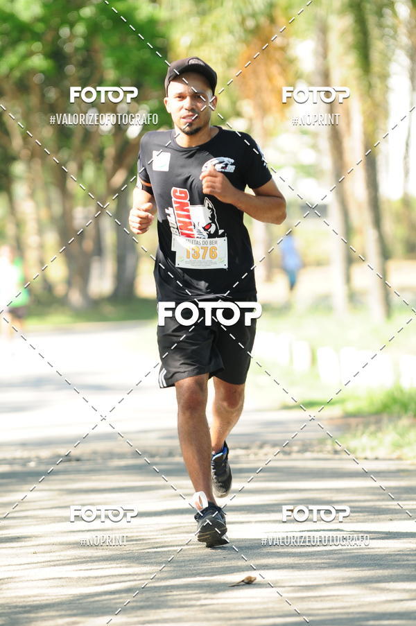 Compra tus fotos del eventoPIT BULL RUNNING En Fotop