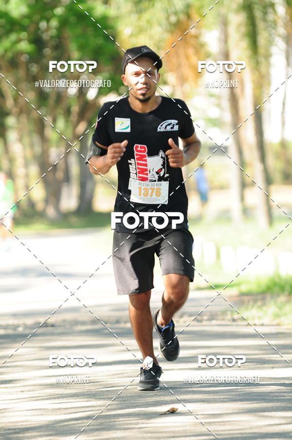 Compra tus fotos del eventoPIT BULL RUNNING En Fotop