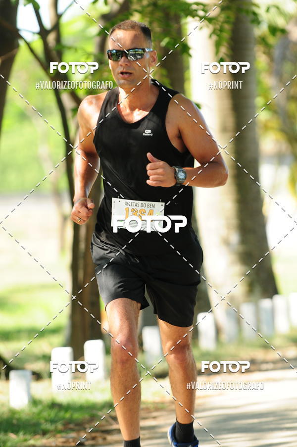 Compra tus fotos del eventoPIT BULL RUNNING En Fotop