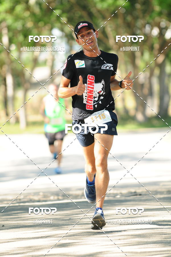 Compra tus fotos del eventoPIT BULL RUNNING En Fotop