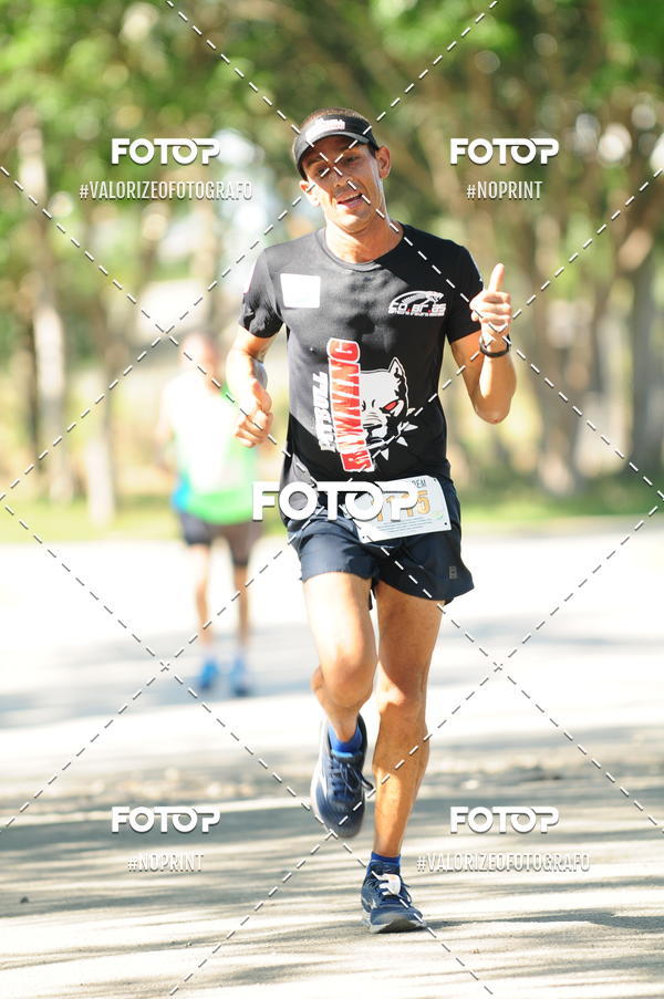 Compra tus fotos del eventoPIT BULL RUNNING En Fotop