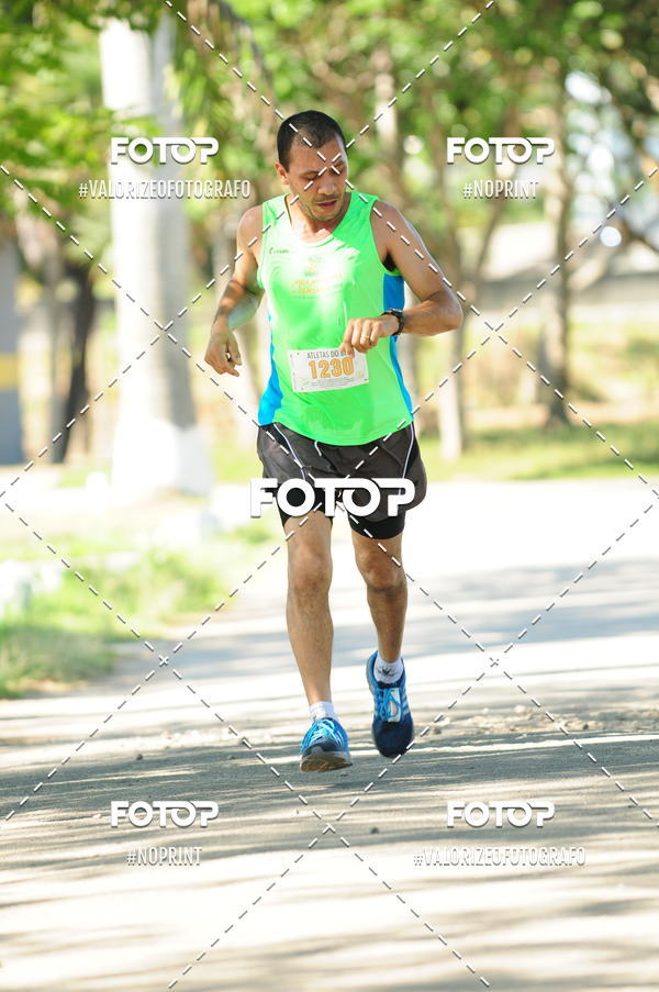 Compra tus fotos del eventoPIT BULL RUNNING En Fotop