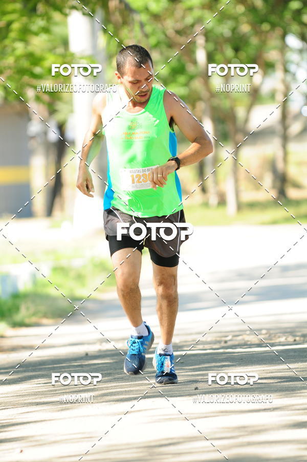 Compra tus fotos del eventoPIT BULL RUNNING En Fotop