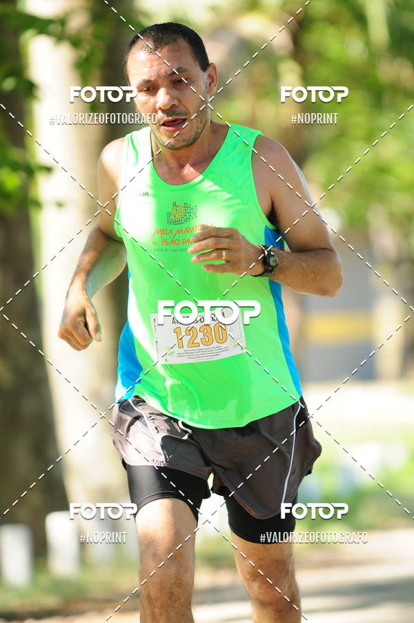 Compra tus fotos del eventoPIT BULL RUNNING En Fotop