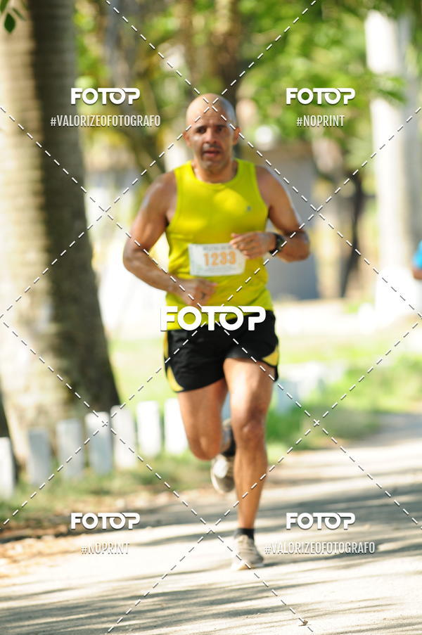 Compre suas fotos do eventoPIT BULL RUNNING no Fotop