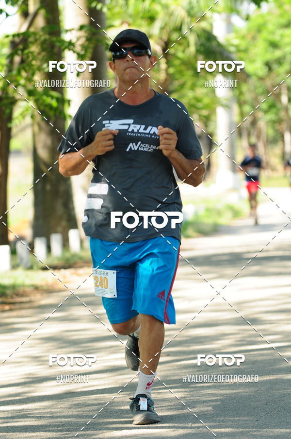 Acquista le foto dell'eventoPIT BULL RUNNING in Fotop