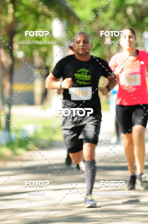 Acquista le foto dell'eventoPIT BULL RUNNING in Fotop