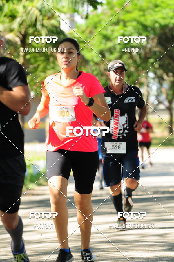 Acquista le foto dell'eventoPIT BULL RUNNING in Fotop