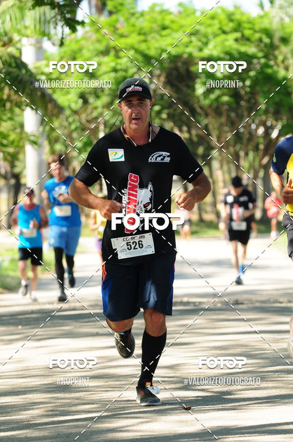 Acquista le foto dell'eventoPIT BULL RUNNING in Fotop