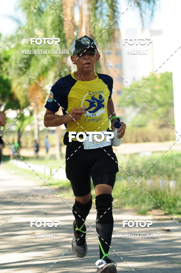 Acquista le foto dell'eventoPIT BULL RUNNING in Fotop