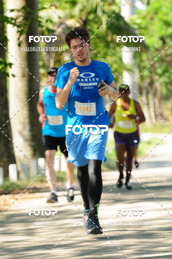 Acquista le foto dell'eventoPIT BULL RUNNING in Fotop