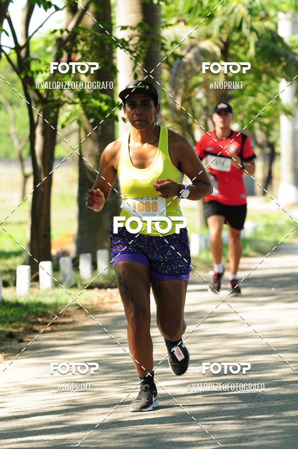 Acquista le foto dell'eventoPIT BULL RUNNING in Fotop