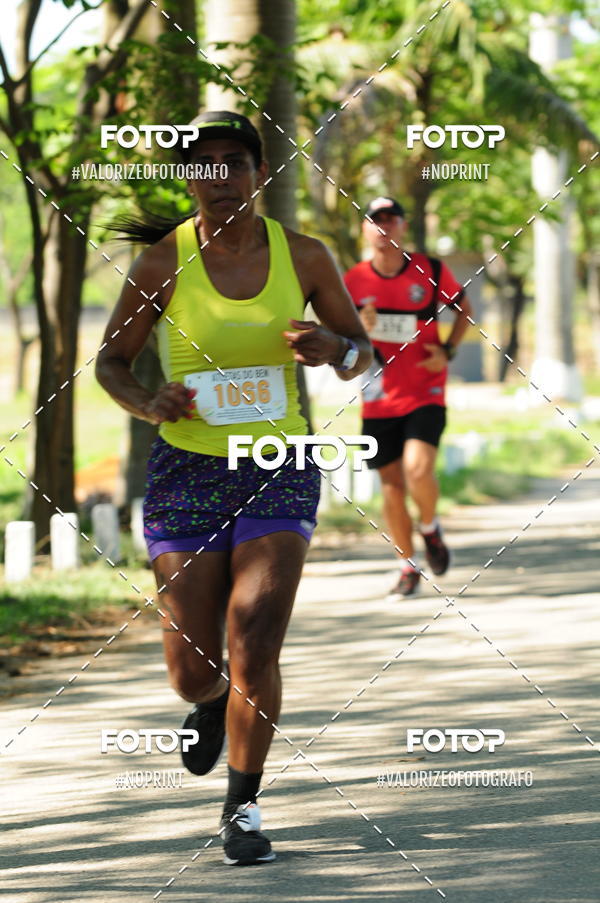 Compra tus fotos del eventoPIT BULL RUNNING En Fotop