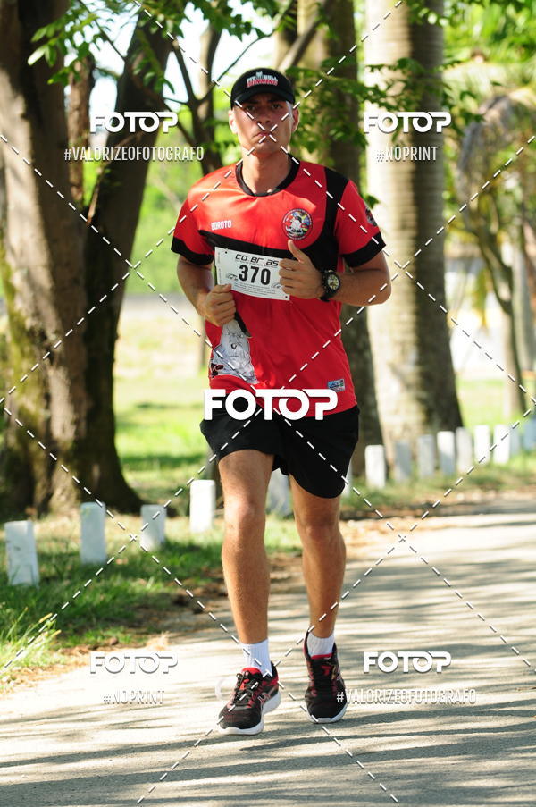 Acquista le foto dell'eventoPIT BULL RUNNING in Fotop