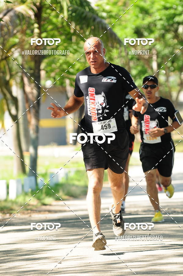 Compra tus fotos del eventoPIT BULL RUNNING En Fotop