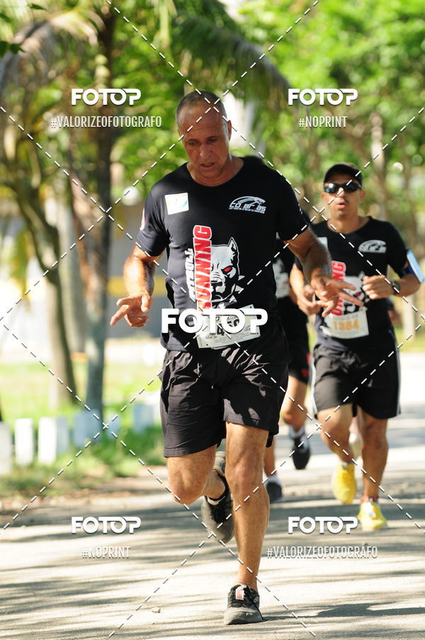 Compra tus fotos del eventoPIT BULL RUNNING En Fotop