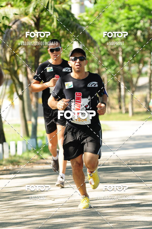 Compra tus fotos del eventoPIT BULL RUNNING En Fotop