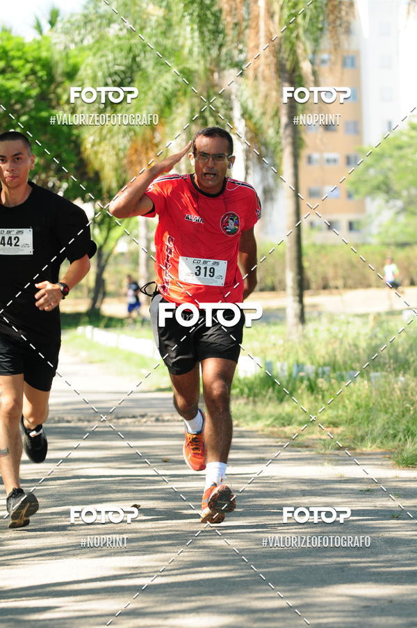 Compra tus fotos del eventoPIT BULL RUNNING En Fotop