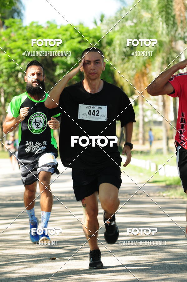 Compra tus fotos del eventoPIT BULL RUNNING En Fotop
