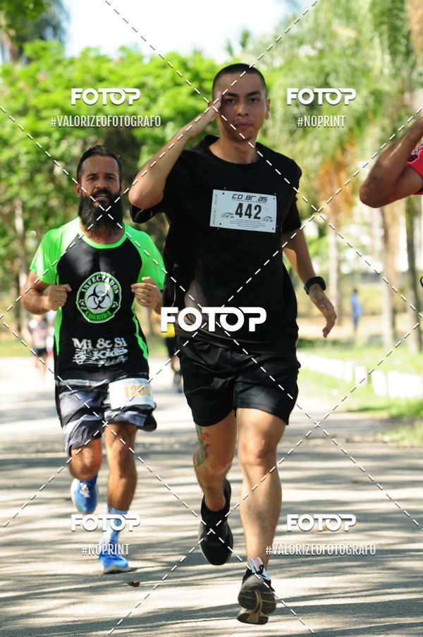 Compra tus fotos del eventoPIT BULL RUNNING En Fotop