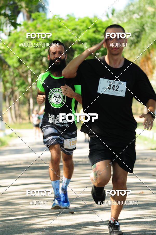 Compra tus fotos del eventoPIT BULL RUNNING En Fotop