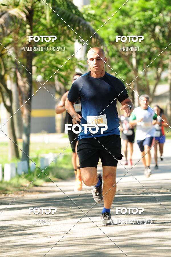 Compra tus fotos del eventoPIT BULL RUNNING En Fotop