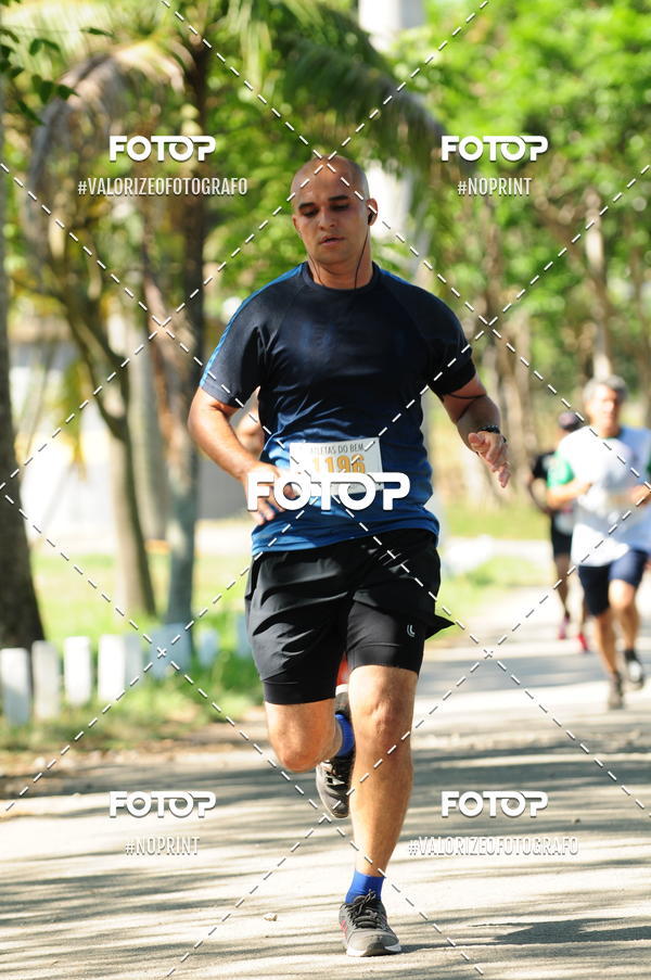 Compra tus fotos del eventoPIT BULL RUNNING En Fotop