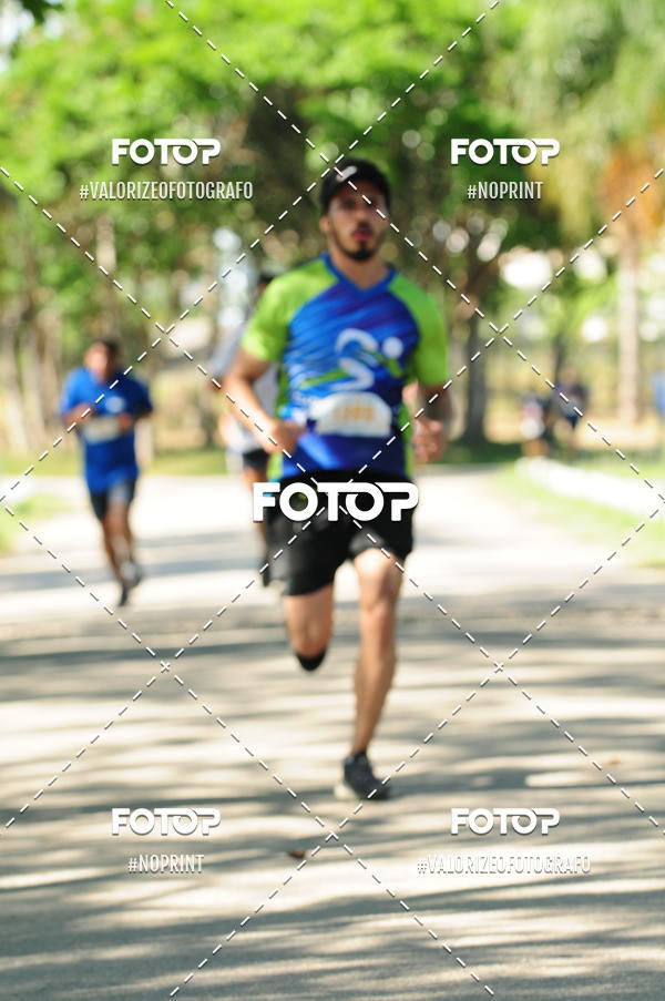 Compre as suas fotos do eventoPIT BULL RUNNING no Fotop