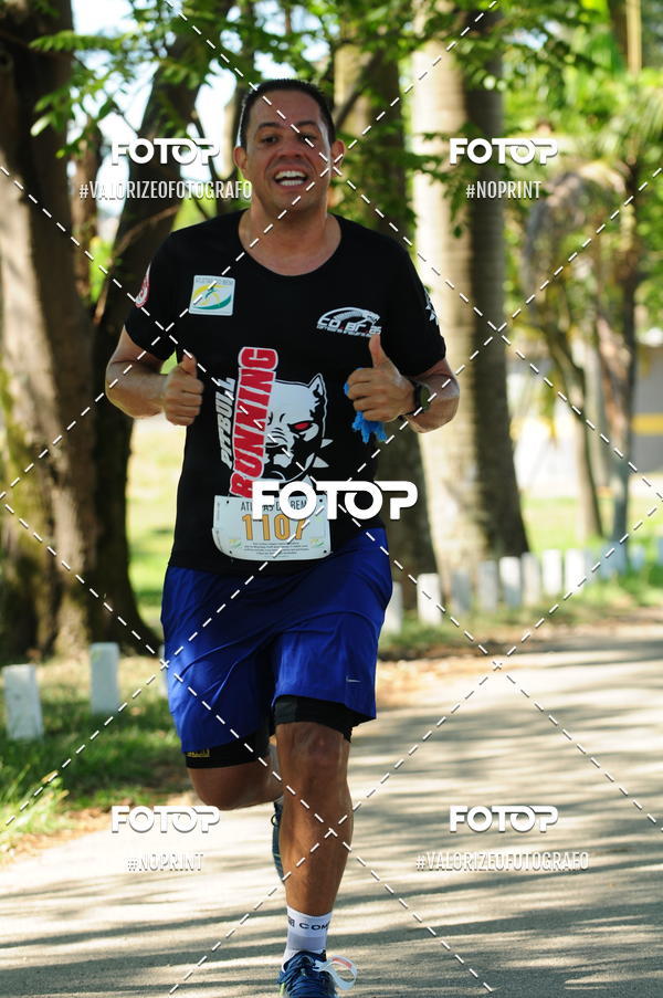 Acquista le foto dell'eventoPIT BULL RUNNING in Fotop