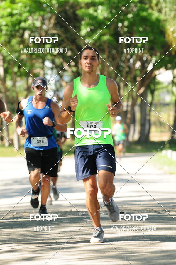 Acquista le foto dell'eventoPIT BULL RUNNING in Fotop