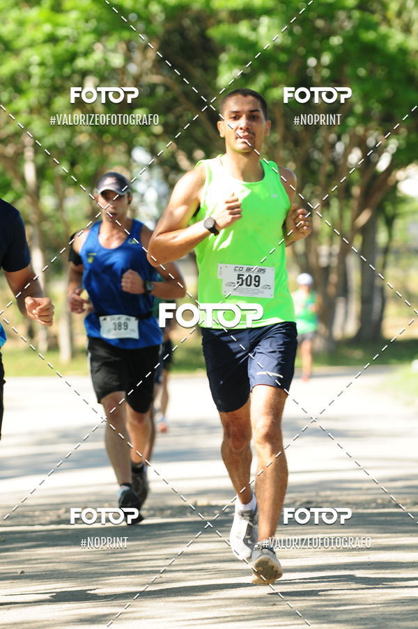 Acquista le foto dell'eventoPIT BULL RUNNING in Fotop