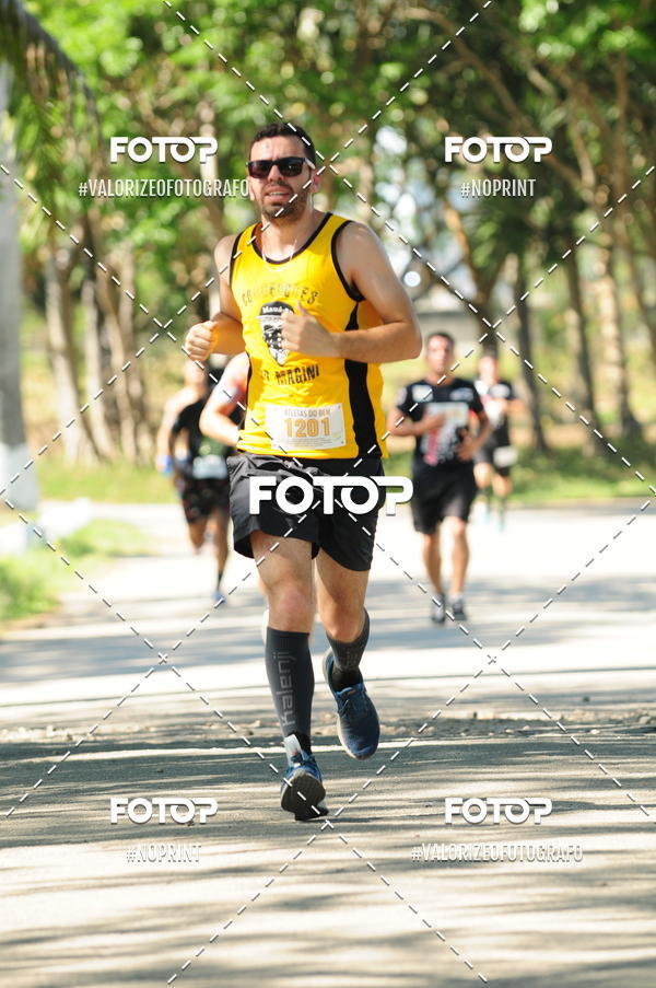 Achetez vos photos de l'vnementPIT BULL RUNNING sur Fotop