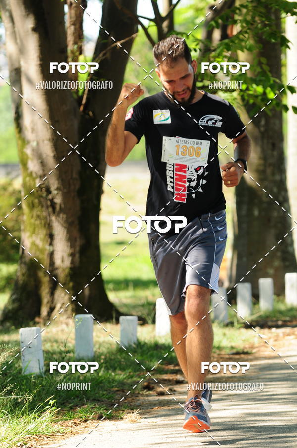 Acquista le foto dell'eventoPIT BULL RUNNING in Fotop