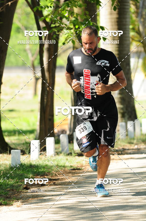 Acquista le foto dell'eventoPIT BULL RUNNING in Fotop