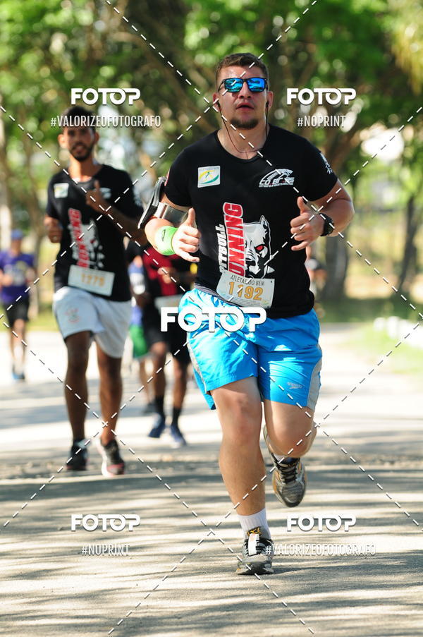 Acquista le foto dell'eventoPIT BULL RUNNING in Fotop