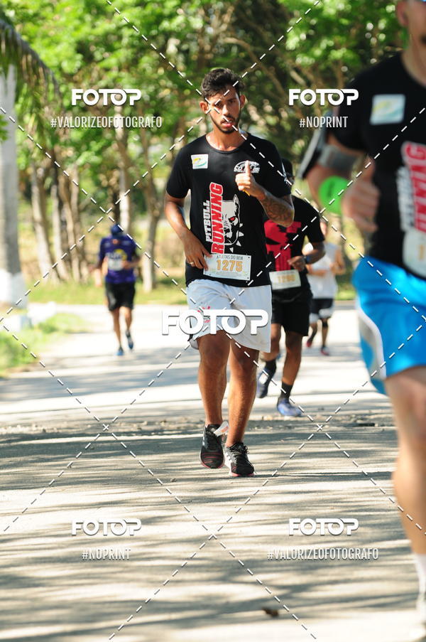 Acquista le foto dell'eventoPIT BULL RUNNING in Fotop