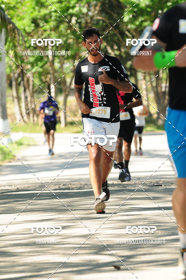 Acquista le foto dell'eventoPIT BULL RUNNING in Fotop