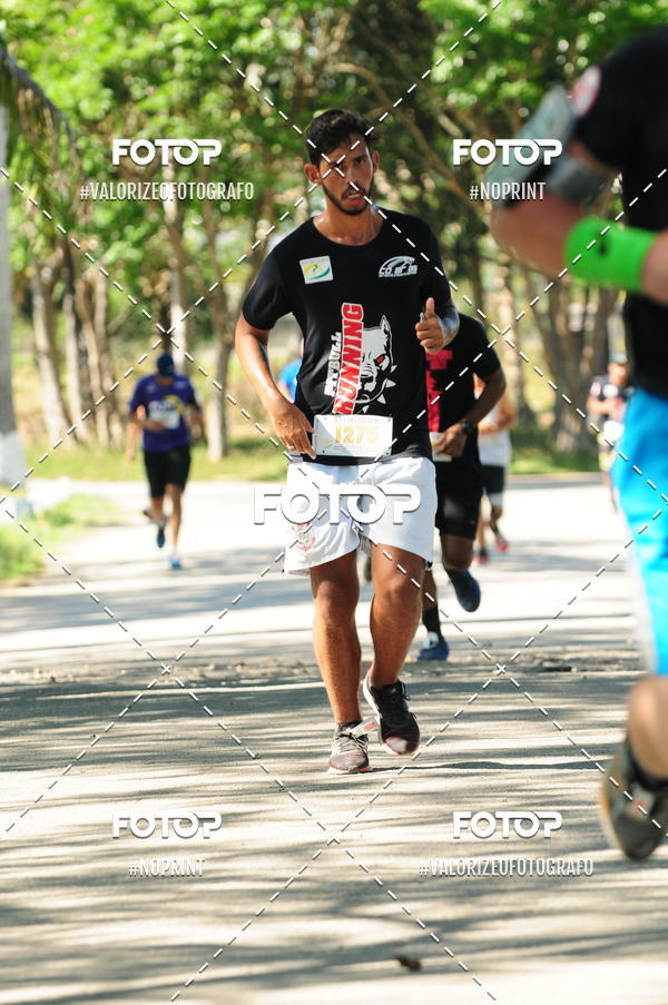 Acquista le foto dell'eventoPIT BULL RUNNING in Fotop