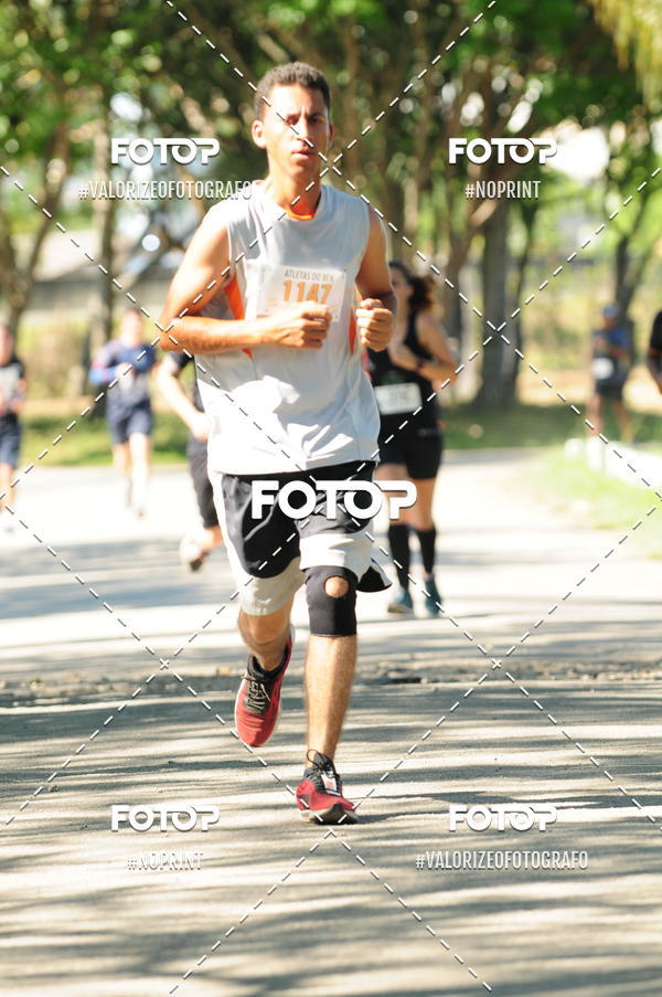 Acquista le foto dell'eventoPIT BULL RUNNING in Fotop