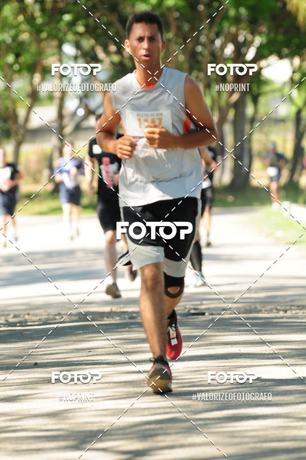 Acquista le foto dell'eventoPIT BULL RUNNING in Fotop