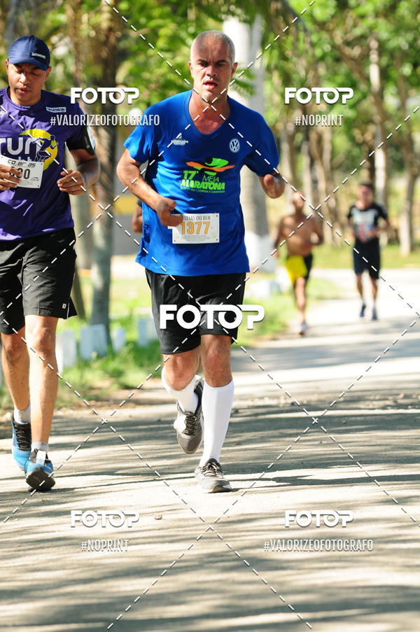 Acquista le foto dell'eventoPIT BULL RUNNING in Fotop