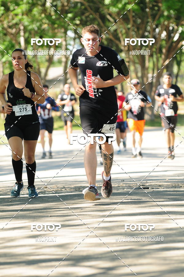 Acquista le foto dell'eventoPIT BULL RUNNING in Fotop