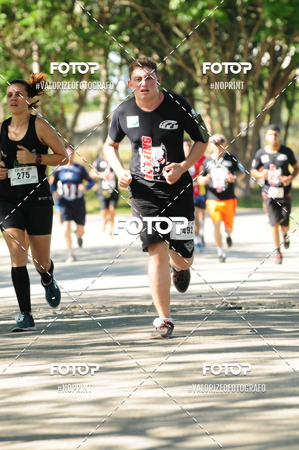 Acquista le foto dell'eventoPIT BULL RUNNING in Fotop