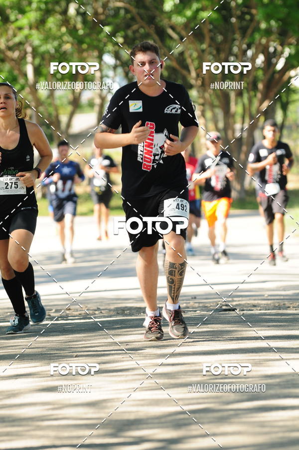 Acquista le foto dell'eventoPIT BULL RUNNING in Fotop