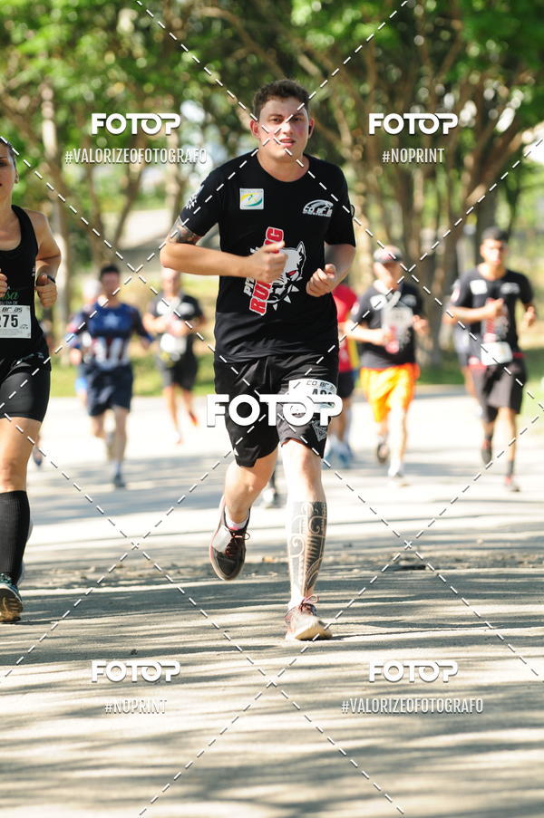 Acquista le foto dell'eventoPIT BULL RUNNING in Fotop